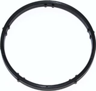 Elring 004.070 - Seal Ring, coolant tube autosila-amz.com