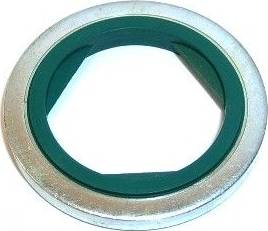 Elring 154.080 - Уплотнительное кольцо, резьбовая пробка маслосливного отверстия autosila-amz.com