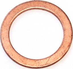 Elring 119.407 - Уплотнительное кольцо autosila-amz.com