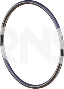 ERNST 491716 - Уплотнительное кольцо, труба выхлопного газа autosila-amz.com