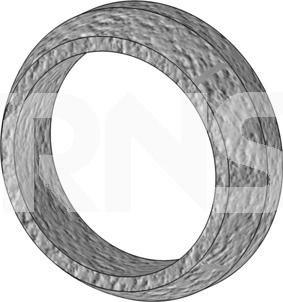 ERNST 492195 - Уплотнительное кольцо, труба выхлопного газа autosila-amz.com