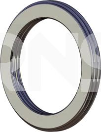 ERNST 492119 - Уплотнительное кольцо, труба выхлопного газа autosila-amz.com