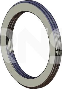 ERNST 492126 - Уплотнительное кольцо, труба выхлопного газа autosila-amz.com