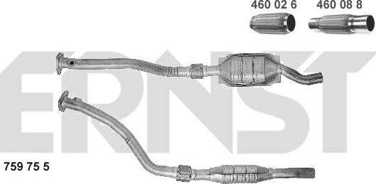 ERNST 759755 - Катализатор autosila-amz.com