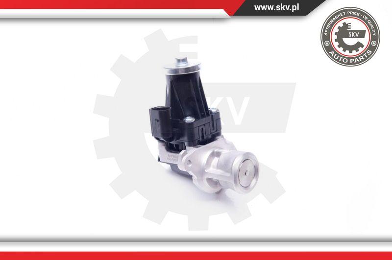 Esen SKV 14SKV159 - Клапан EGR ALFA ROMEO FIAT LANCIA OPEL autosila-amz.com