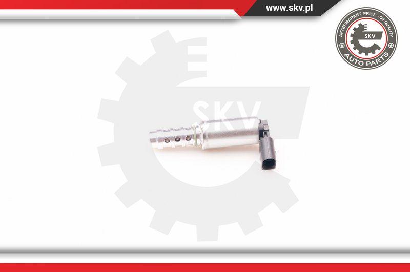 Esen SKV 39SKV009 - Регулирующий клапан, выставление распределительного вала autosila-amz.com