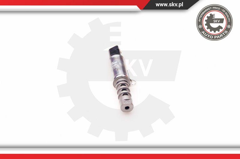 Esen SKV 39SKV010 - Регулирующий клапан, выставление распределительного вала autosila-amz.com