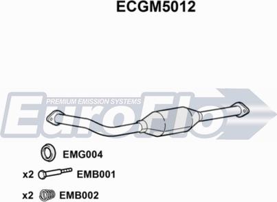 EuroFlo ECGM5012 - Катализатор autosila-amz.com