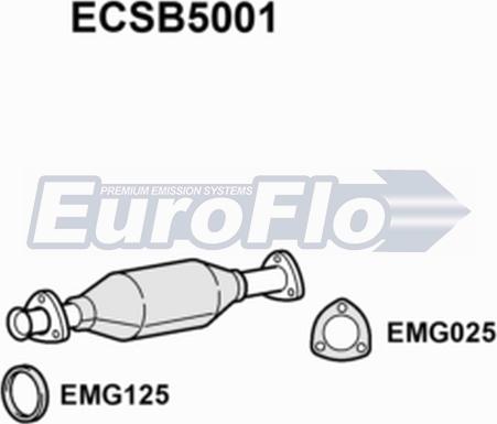 EuroFlo ECSB5001 - Катализатор autosila-amz.com