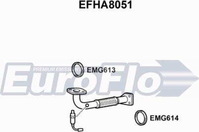 EuroFlo EFHA8051 - Труба выхлопного газа autosila-amz.com