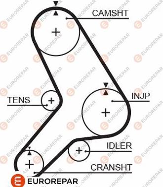 EUROREPAR 1633140180 - Зубчатый ремень ГРМ autosila-amz.com