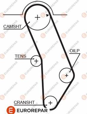 EUROREPAR 1633139880 - Зубчатый ремень ГРМ autosila-amz.com