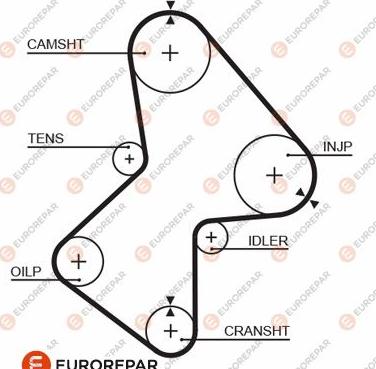 EUROREPAR 1633139780 - Зубчатый ремень ГРМ autosila-amz.com