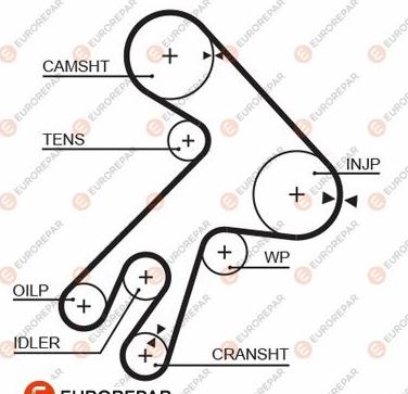 EUROREPAR 1633134980 - Зубчатый ремень ГРМ autosila-amz.com