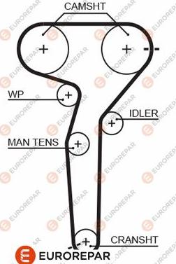 EUROREPAR 1633134380 - Зубчатый ремень ГРМ autosila-amz.com