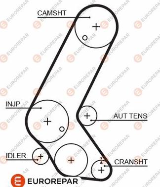 EUROREPAR 1633130880 - Зубчатый ремень ГРМ autosila-amz.com
