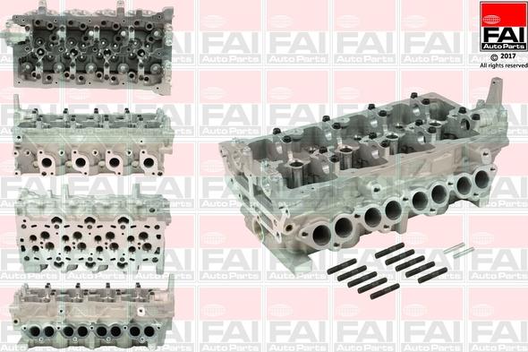 FAI AutoParts BCH056 - Головка цилиндра autosila-amz.com