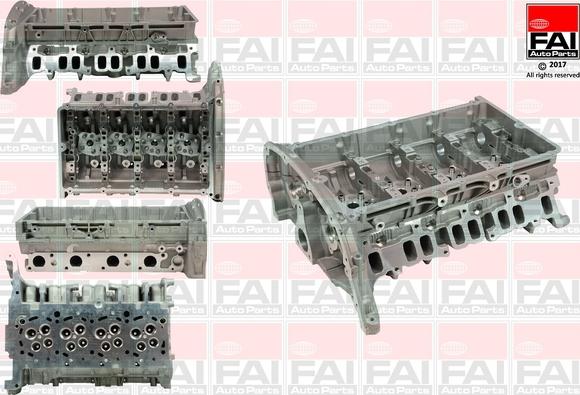 FAI AutoParts BCH035 - Головка цилиндра autosila-amz.com