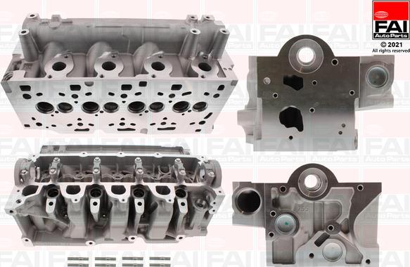 FAI AutoParts BCH131 - Головка цилиндра autosila-amz.com