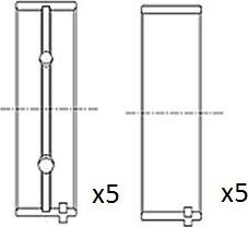 FAI AutoParts BM1001-025 - Подшипник коленвала autosila-amz.com