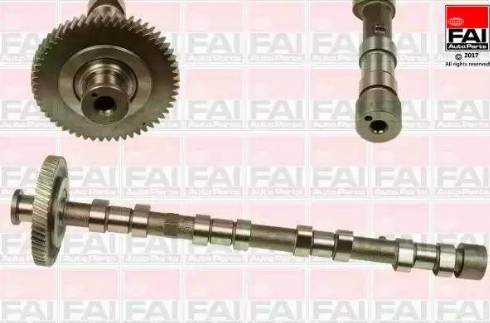 FAI AutoParts C309 - Распредвал autosila-amz.com