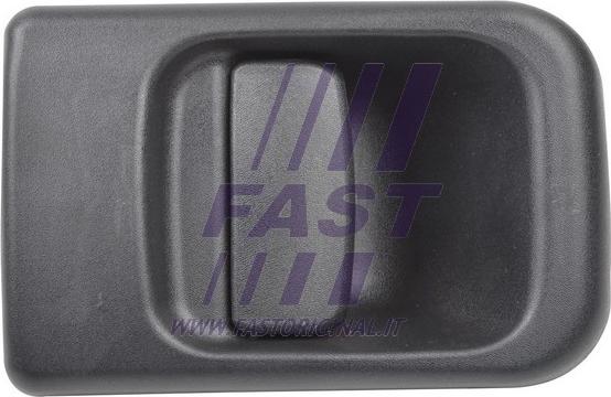 Fast FT94550 - Ручка двери autosila-amz.com