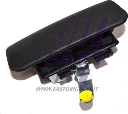 Fast FT94565 - Ручка двери autosila-amz.com