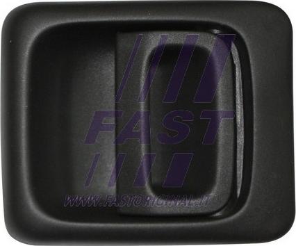 Fast FT94509 - Ручка двери autosila-amz.com