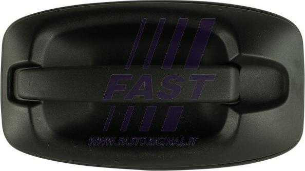 Fast FT94584 - Ручка двери autosila-amz.com