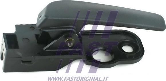 Fast FT94580 - Ручка двери autosila-amz.com