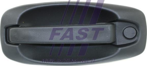 Fast FT94576 - Ручка двери autosila-amz.com