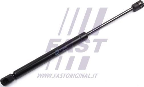 Fast FT94045 - Газовая пружина, упор autosila-amz.com