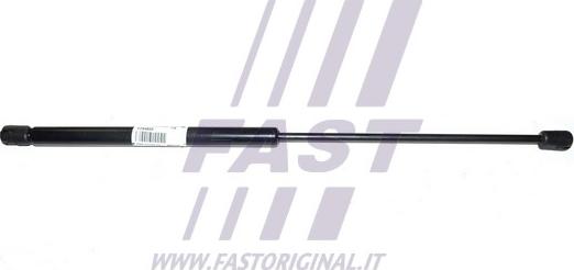 Fast FT94833 - Газовая пружина, упор autosila-amz.com