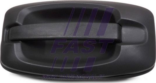Fast FT94390 - Ручка двери autosila-amz.com