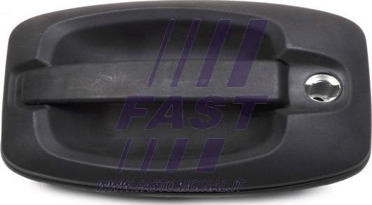 Fast FT94391 - Ручка двери autosila-amz.com