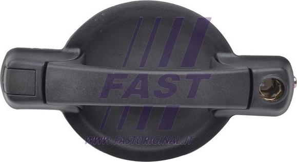 Fast FT94378 - Ручка двери autosila-amz.com