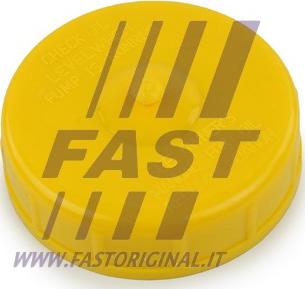 Fast FT94743 - Уплотнительное кольцо, пробка - насос гидроусилителя autosila-amz.com