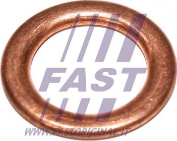Fast FT94715 - Прокладка, маслоналивная горловина autosila-amz.com