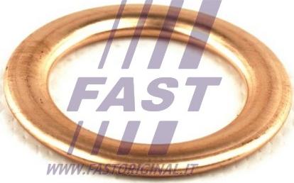 Fast FT94721 - Прокладка, маслоналивная горловина autosila-amz.com