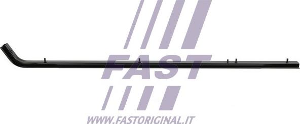 Fast FT95598 - Направляющая ролика, сдвижная дверь autosila-amz.com