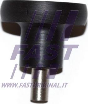 Fast FT95552 - Направляющая ролика, сдвижная дверь autosila-amz.com