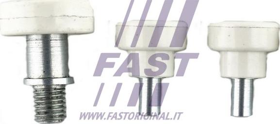 Fast FT95536 - Направляющая ролика, сдвижная дверь autosila-amz.com