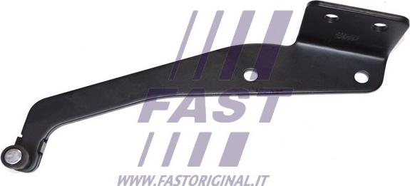 Fast FT95573 - Направляющая ролика, сдвижная дверь autosila-amz.com