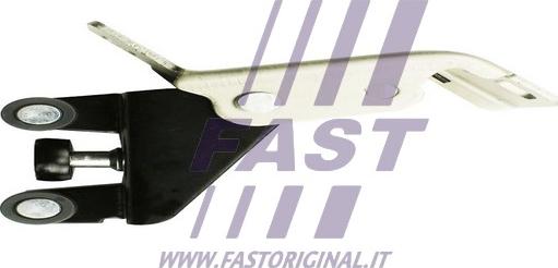 Fast FT95667 - Направляющая ролика, сдвижная дверь autosila-amz.com