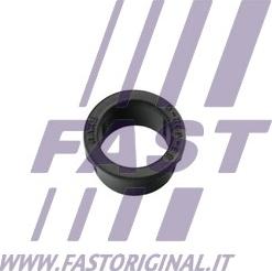 Fast FT96050 - Фиксатор двери autosila-amz.com