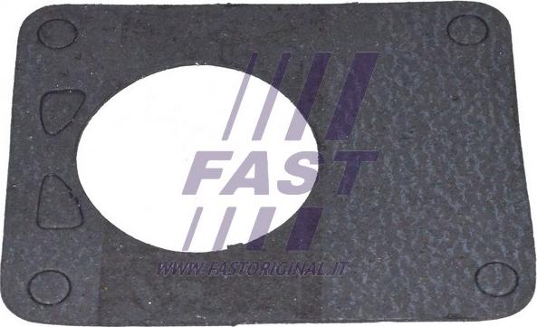 Fast FT49901 - Прокладка, вакуумный насос autosila-amz.com