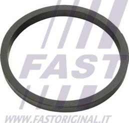 Fast FT49924 - Прокладка, масляный радиатор autosila-amz.com