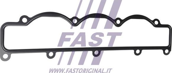 Fast FT49499 - Прокладка, впускной коллектор autosila-amz.com