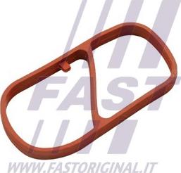 Fast FT49454 - Прокладка, впускной коллектор autosila-amz.com