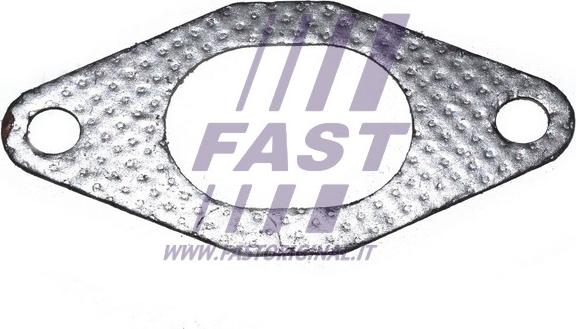 Fast FT49484 - Прокладка, выпускной коллектор autosila-amz.com